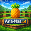 Logo serwera Ana-Nas.pl