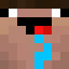 Logo serwera Minecraft plebsmc.pl